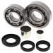 SCHREMS DIFFERENTIAL BEARING AND SEAL KIT FRONT POLARIS Magnum 325 4x4 00-02, Magnum 500 4x4 99-01, Xpedition 325 00-02, Xpedition 425 00-02