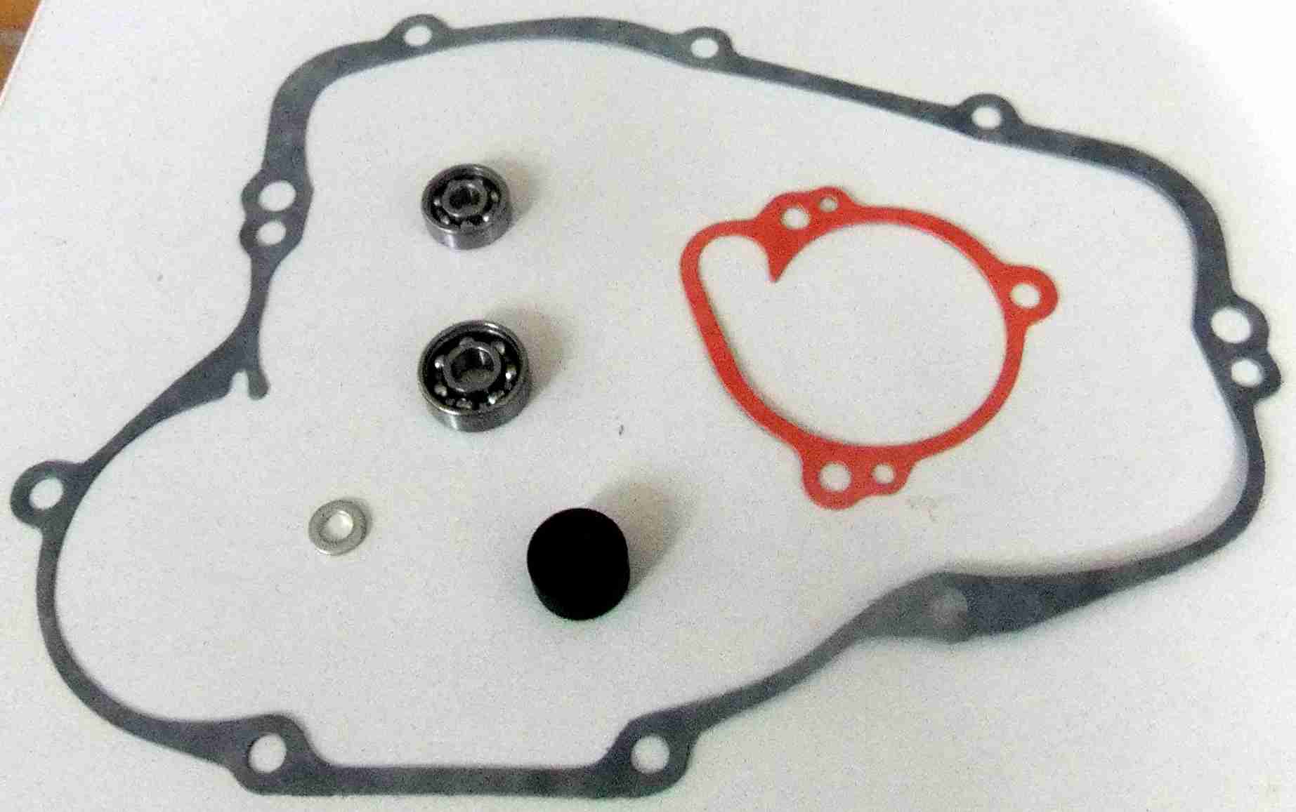 SCHREMS WATER PUMP REPAIR KIT INCL. BEARING AND GASKETS